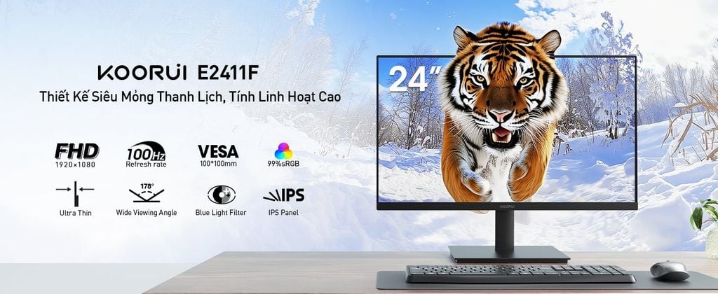 Màn hình KOORUI E2411F