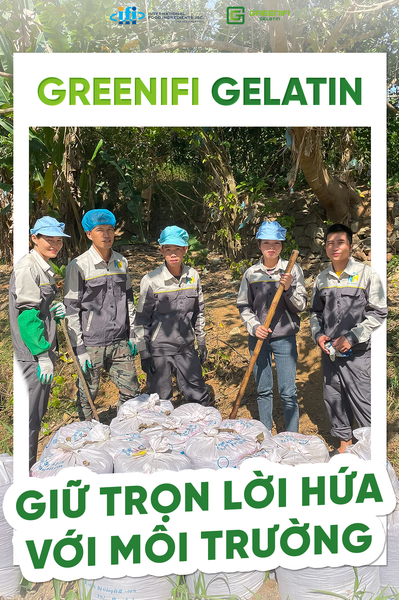 CÙNG GREENIFI GELATIN SỐNG XANH – GIỮ TRỌN LỜI HỨA VỚI MÔI TRƯỜNG