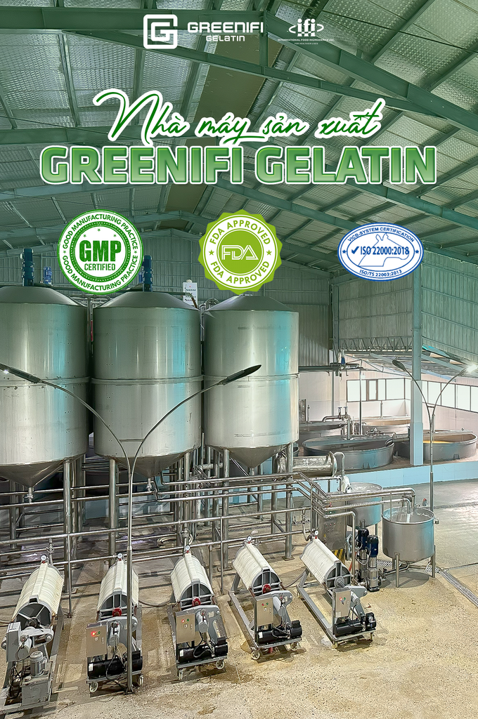 NHÀ MÁY SẢN XUẤT GREENIFI GELATIN MANG LẠI SẢN PHẨM VIỆT TIÊU CHUẨN QUỐC TẾ