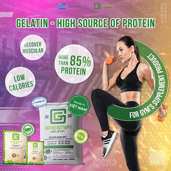 GELATIN – A RICH PROTEIN SOURCE IN PRODUCTS FOR GYMMER