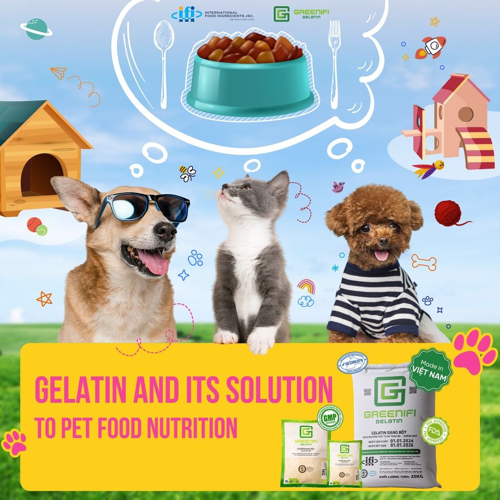 FROM SIDELINE TO SPOTLIGHT: GELATIN'S REVOLUTIONARY ROLE IN THE PET FOOD INDUSTRY