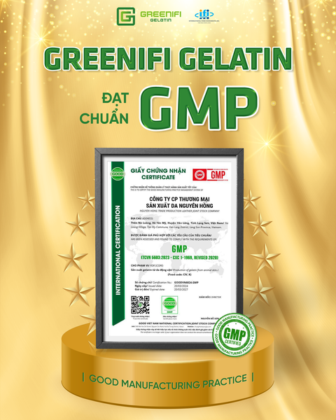 Greenifi Gelatin chính thức được công nhận đạt chuẩn GMP