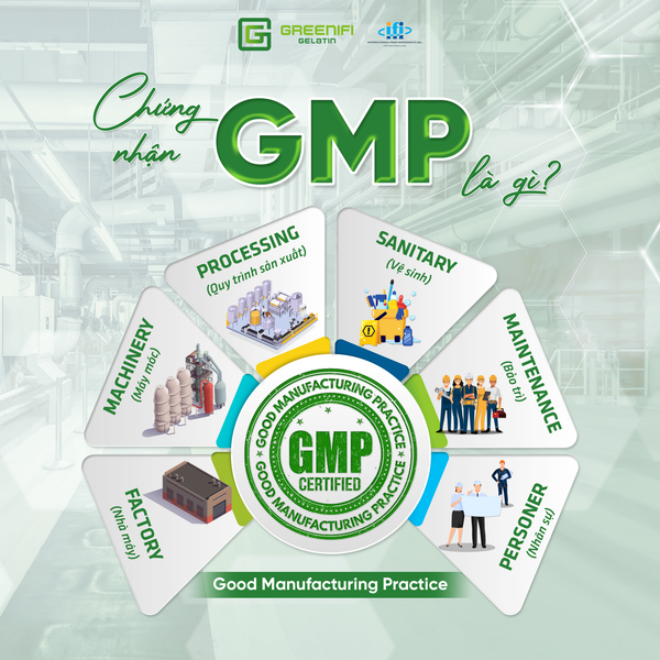 Tầm quan trọng của tiêu chuẩn GMP trong sản xuất thực phẩm