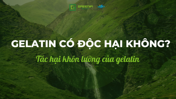 GELATIN CÓ ĐỘC HẠI KHÔNG? TÁC HẠI KHÔN LƯỜNG CỦA GELATIN KHÔNG RÕ NGUỒN GỐC