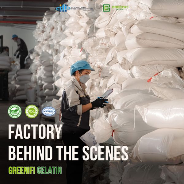BEHIND THE SCENES: THE PEOPLE AT THE HEART OF GREENIFI GELATIN’S FACTORY