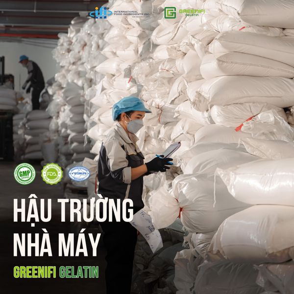 HẬU TRƯỜNG SẢN XUẤT: CON NGƯỜI NƠI NHÀ MÁY GREENIFI GELATIN