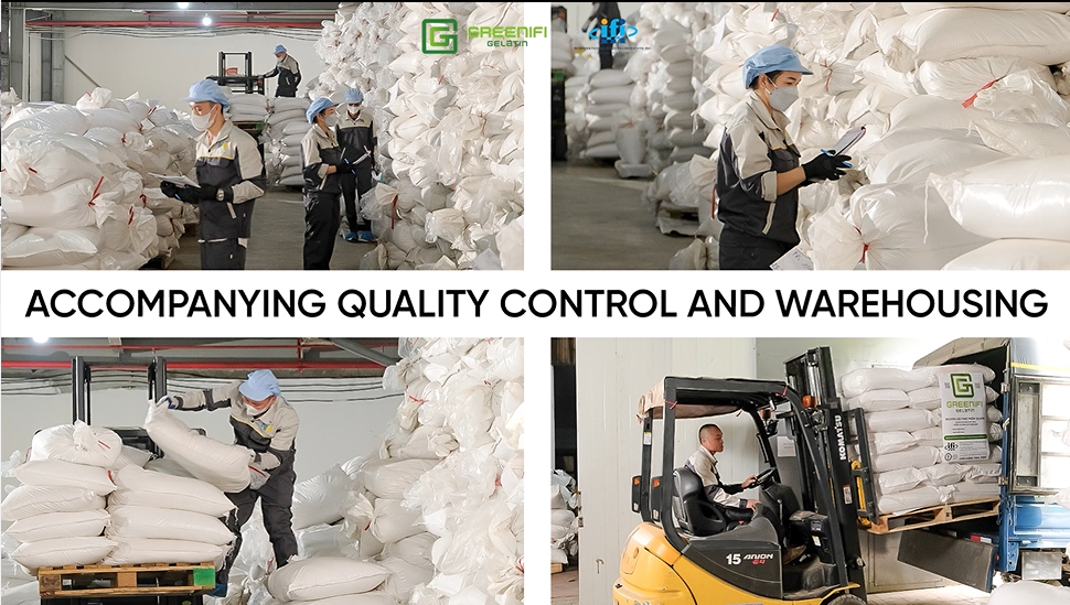 Greenifi Gelatine - Partnering with Businesses for Quality Control and Warehousing
