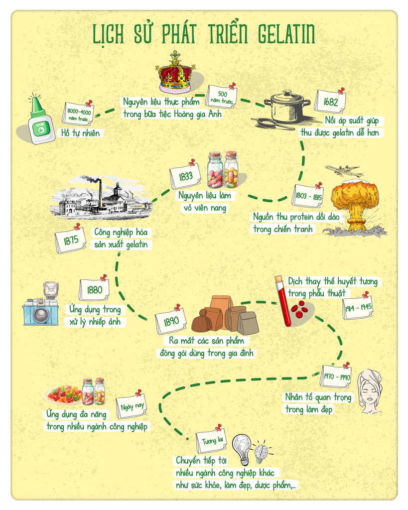 GELATIN - LỊCH SỬ HÌNH THÀNH VÀ PHÁT TRIỂN