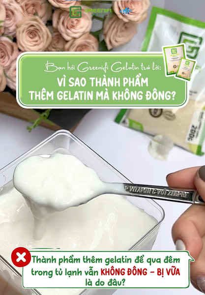 Vì sao gelatin không đông? Cách xử lý khi gelatin không đông