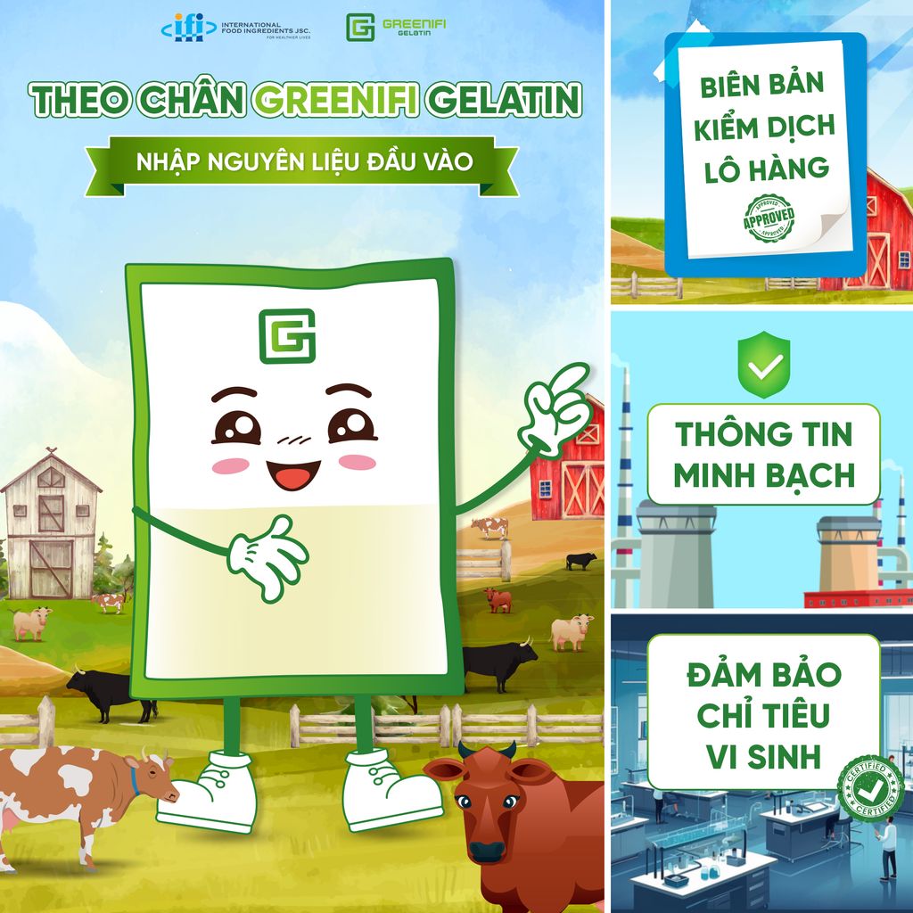 THEO CHÂN GREENIFI GELATIN NHẬN NGUYÊN LIỆU ĐẦU VÀO