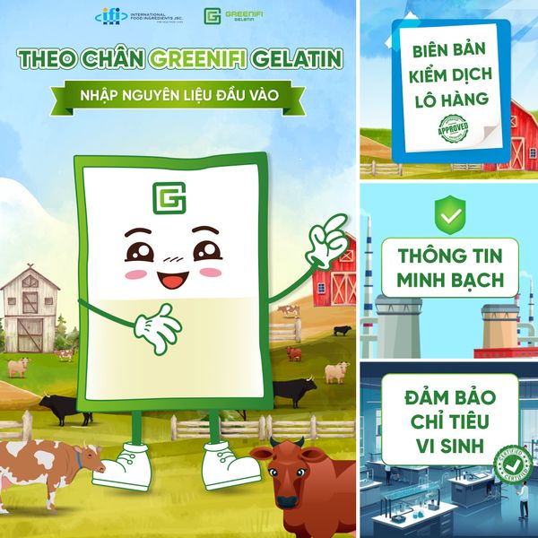 THEO CHÂN GREENIFI GELATIN NHẬN NGUYÊN LIỆU ĐẦU VÀO