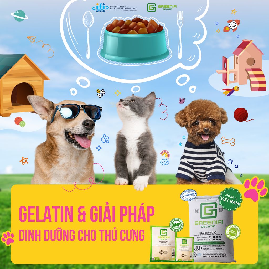 TỪ NGUYÊN LIỆU PHỤ THÀNH NHÂN TỐ CHÍNH: GELATIN VÀ CÔNG CUỘC CÁCH MẠNG TRONG  NGÀNH THỨC ĂN CHĂN NUÔI