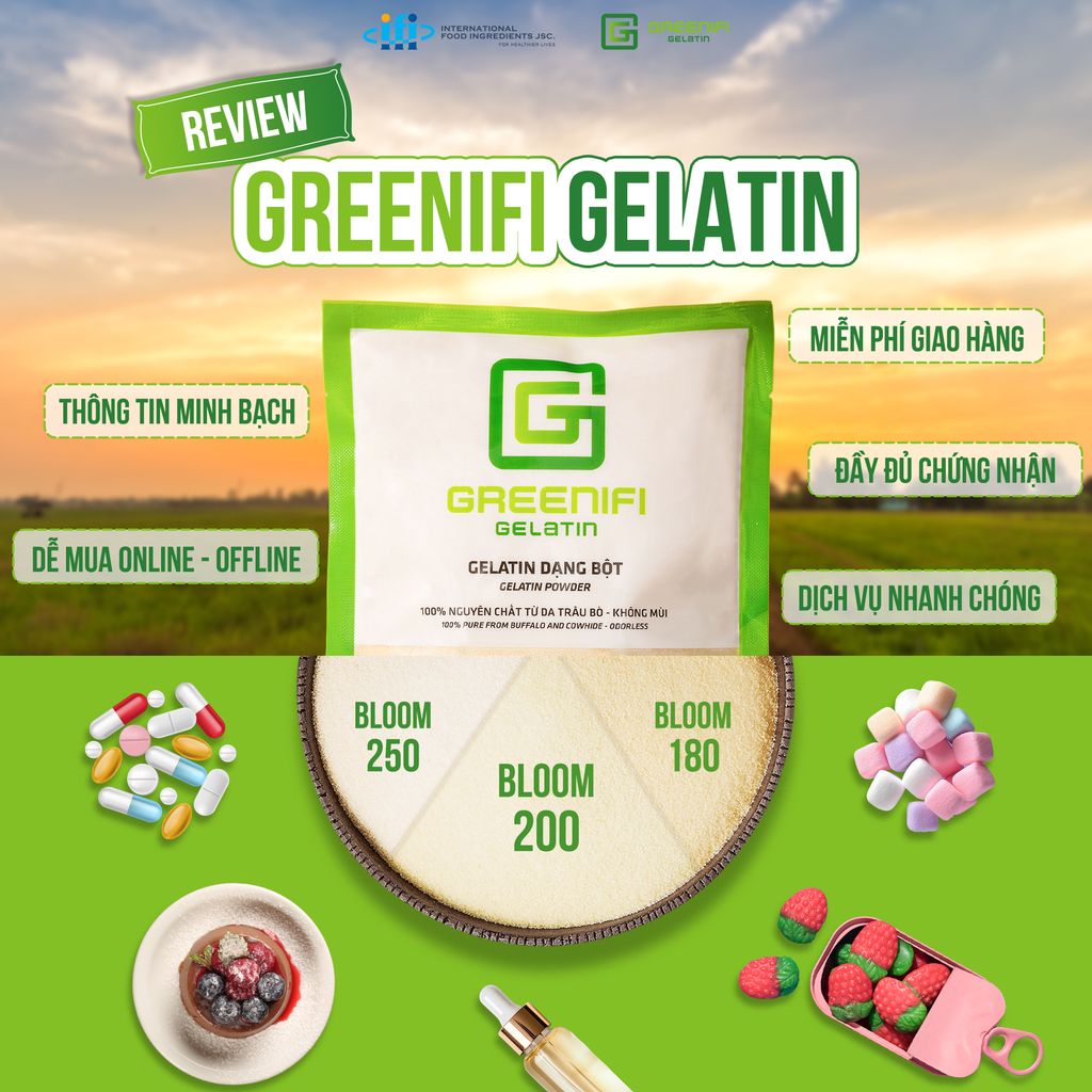 REVIEW GREENIFI GELATIN – CHẤT LƯỢNG – GIÁ THÀNH – DỊCH VỤ