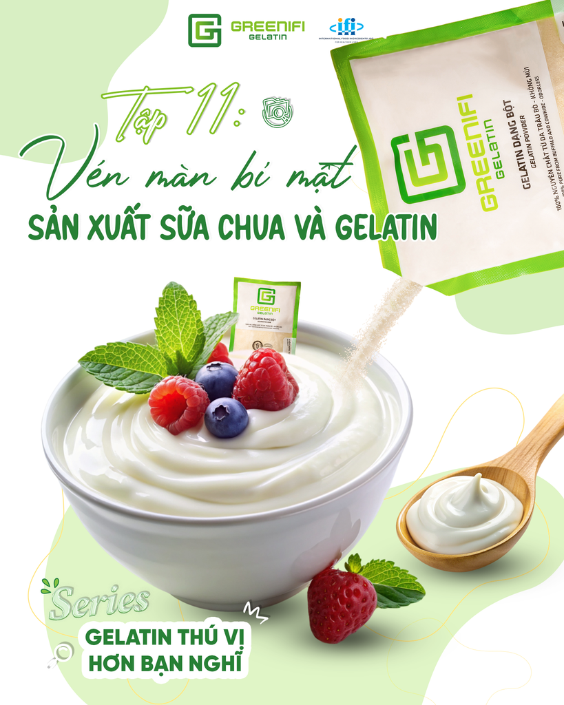 Những điều bạn chưa biết về gelatin - Tập 11: Gelatin và ứng dụng ngành sữa