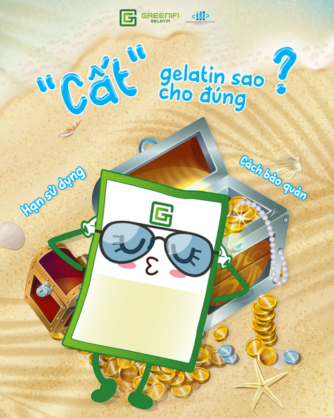 Hạn sử dụng của gelatin và cách bảo quản gelatin
