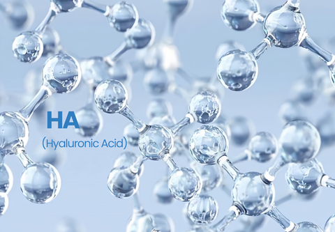 7 Loại Hyaluronic Acid trong Toner Haramoon