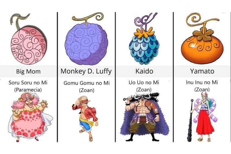 Trái Ác Quỷ Là Gì? Bí Mật Sức Mạnh Vô Hạn Của Hải Tặc Trong One Piece
