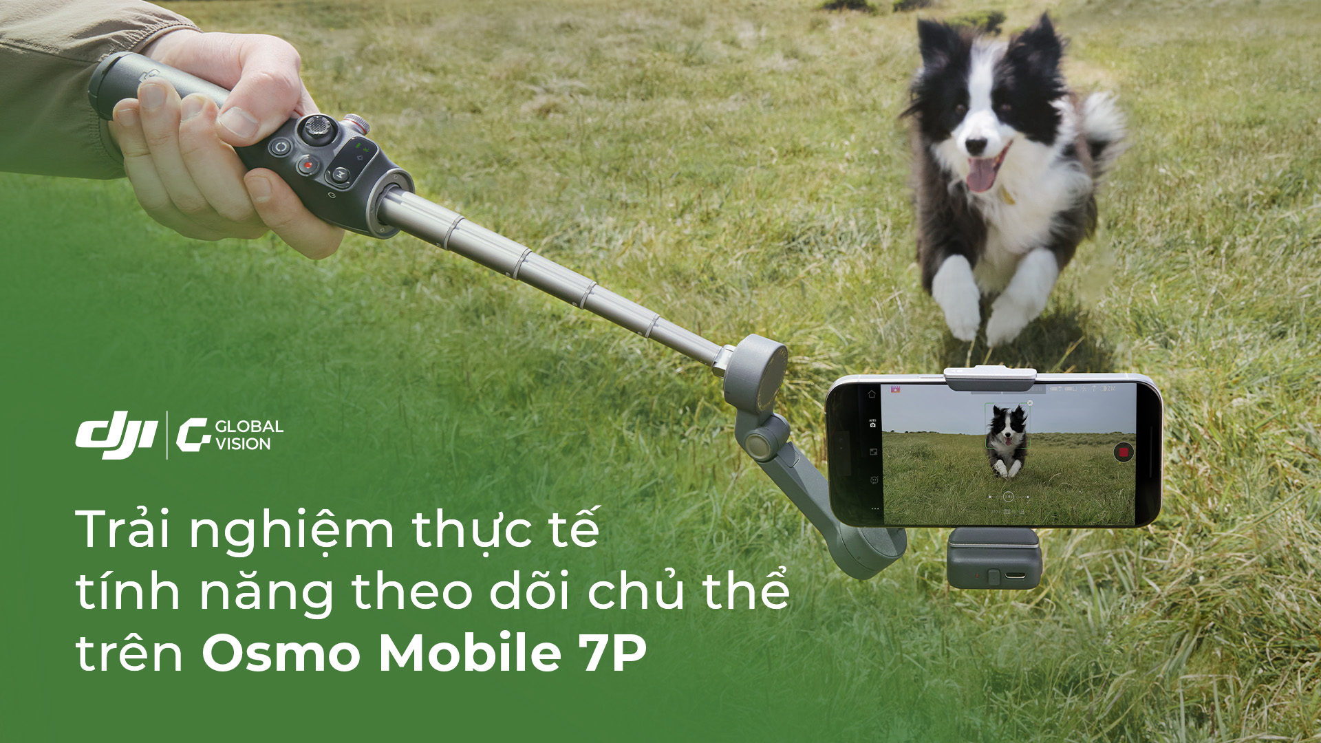 Trải nghiệm thực tế tính năng theo dõi chủ thể trên Osmo Mobile 7P