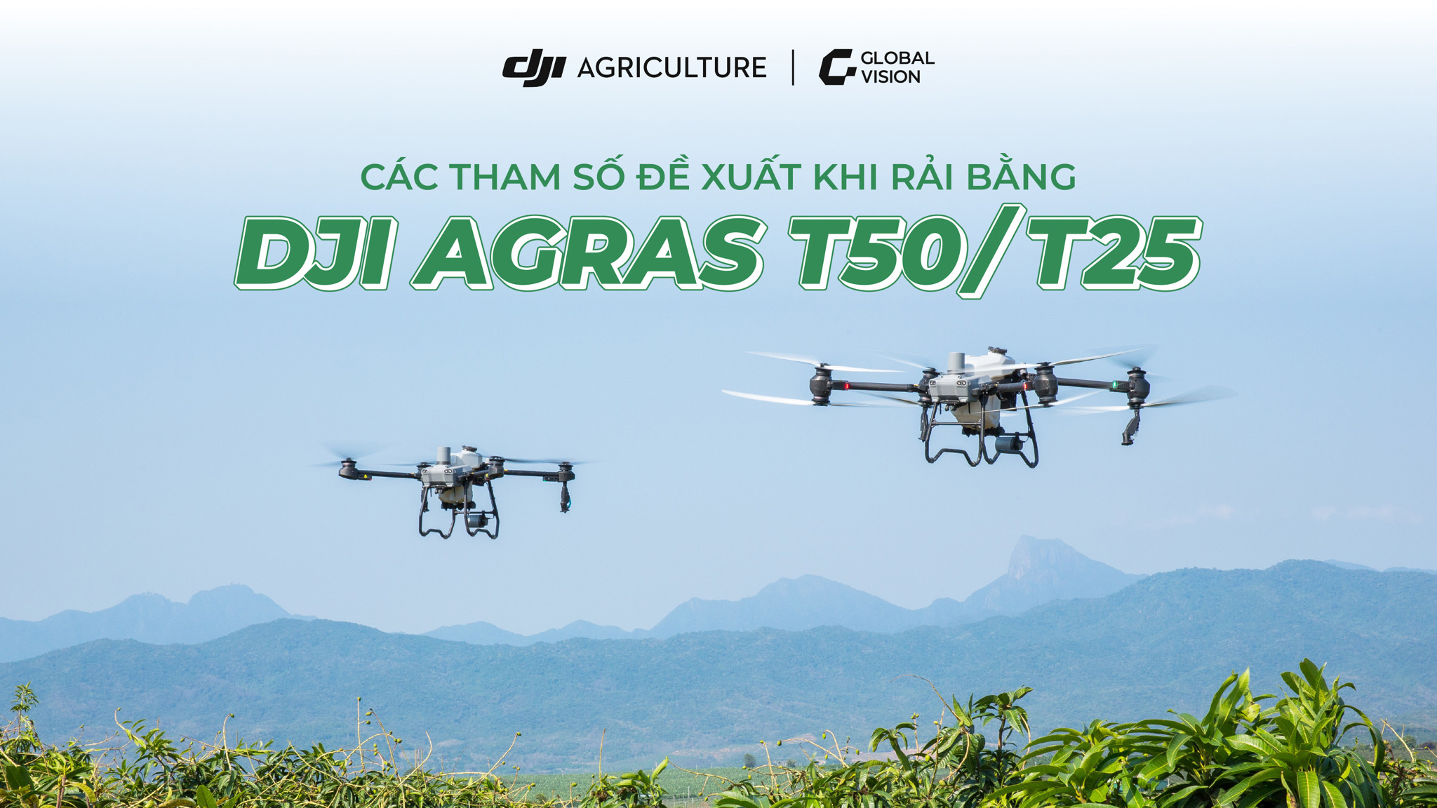 Các tham số đề xuất khi rải bằng DJI Agras T50/T25