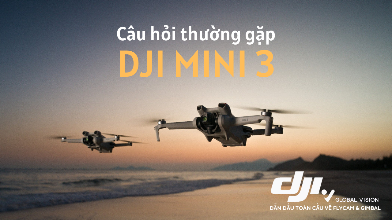 Câu hỏi thường gặp - DJI Mini 3
