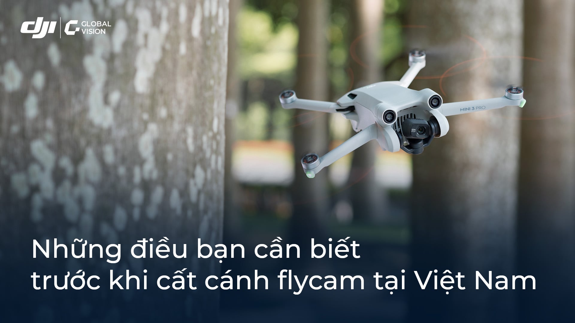 Những điều bạn cần biết trước khi cất cánh flycam tại Việt Nam