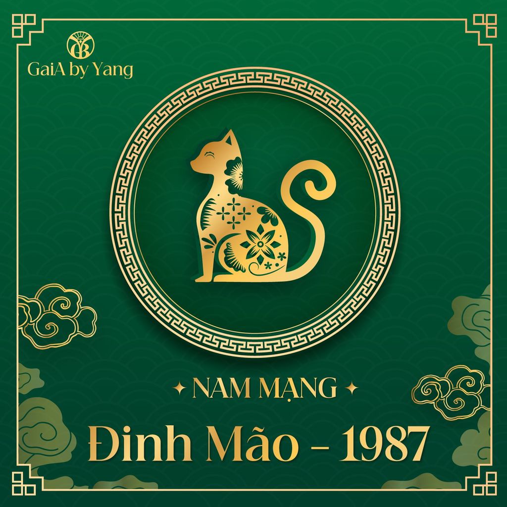 VẬN TRÌNH NĂM 2025 ĐINH MÃO 1987 NAM MẠNG