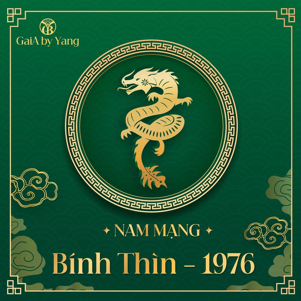 VẬN TRÌNH NĂM 2025 BÍNH THÌN 1976 NAM MẠNG