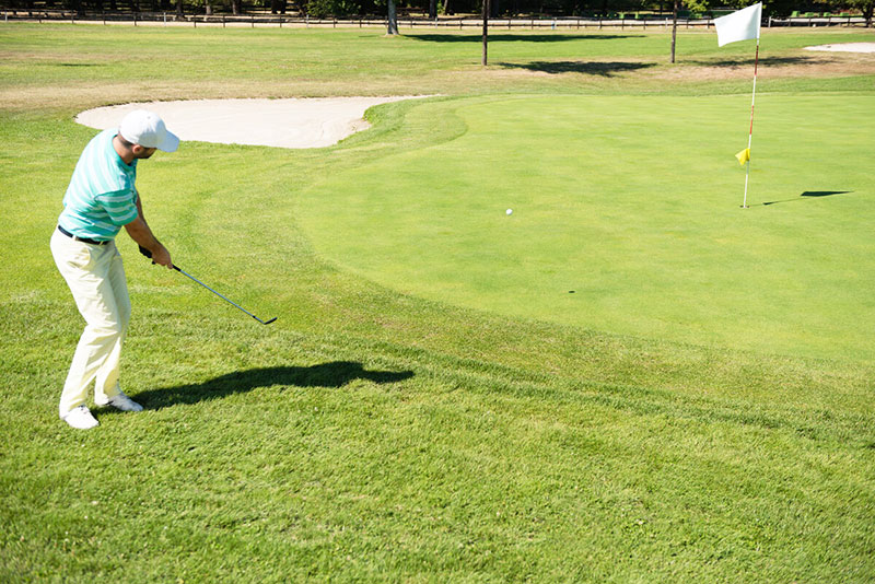 chip shot