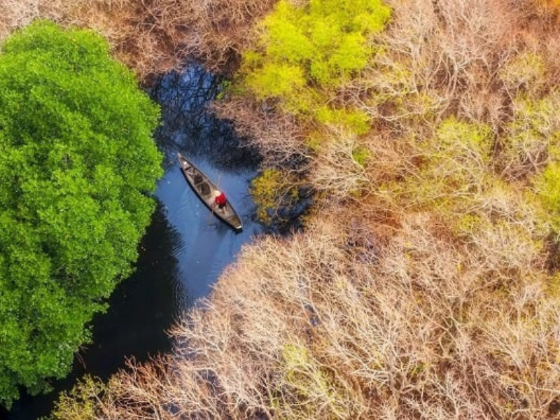 Rú Chá Thừa Thiên Huế