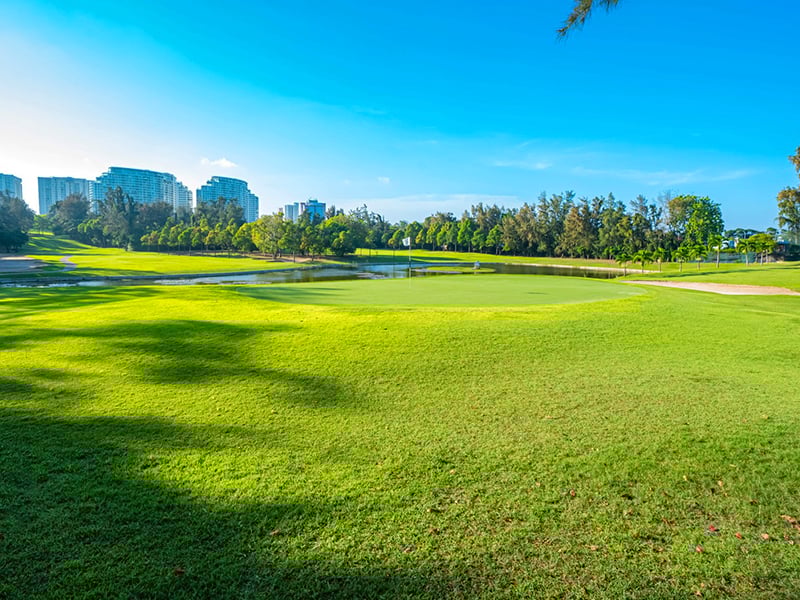 paradise-vung-tau-goda-golf