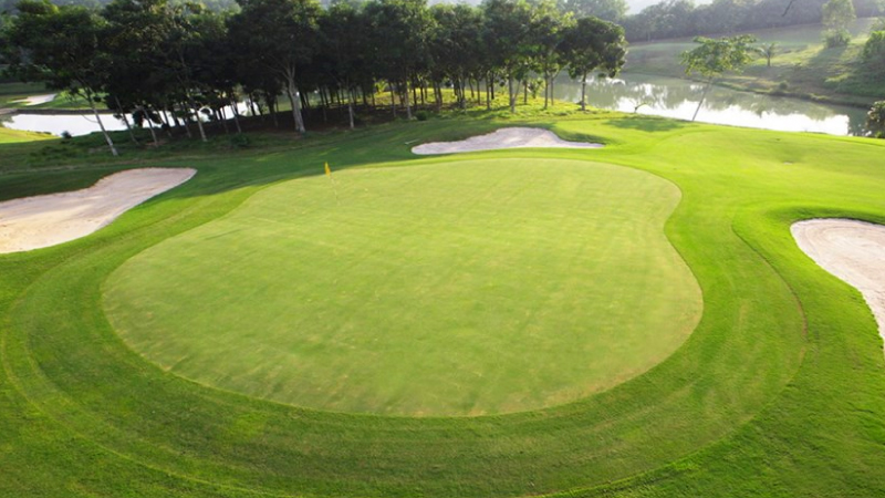 kỹ thuật putting