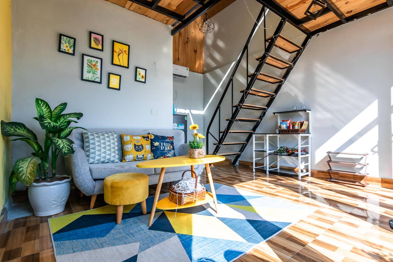 up-in-the-air-homestay