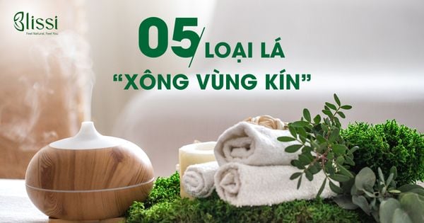 Xông Vùng Kín Bằng Tía Tô
