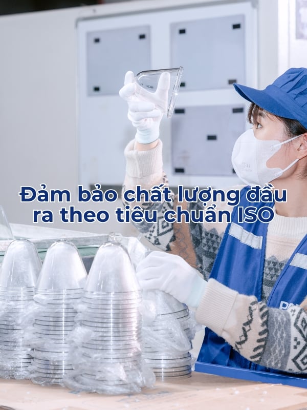 Bí Mật Đằng Sau Chất Lượng Chai Lọ Vượt Trội Của Pavico: Quy Trình QC Nghiêm Ngặt