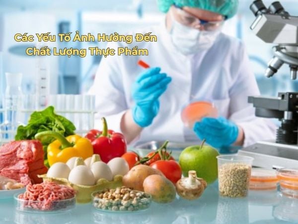Bí Quyết Vàng Bảo Quản Thực Phẩm Tươi Lâu Bằng Chai Lọ, Hũ Nhựa Đúng Cách