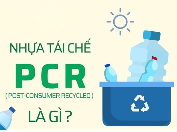 Nhựa tái chế PCR: Giải pháp bao bì xanh cho tương lai bền vững