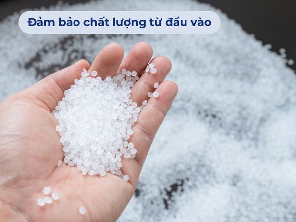 Bí Mật Đằng Sau Chất Lượng Chai Lọ Vượt Trội Của Pavico: Quy Trình QC Nghiêm Ngặt