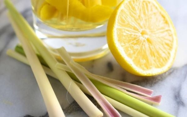 Bật mí top 5 mùi tinh dầu các khách sạn sang trọng thường dùng
