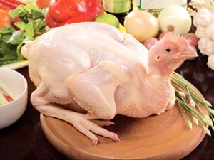 Cách chọn thịt gà tươi ngon để nấu lẩu| Công thức lẩu gà tiềm ớt hiểm
