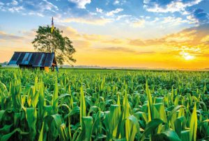 Các chiến lược phát triển nông nghiệp bền vững trên thế giới