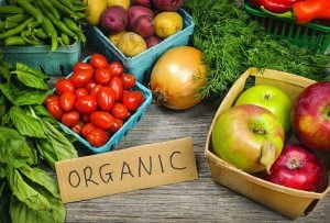 BENEFITS FROM THE DEVELOPMENT OF ORGANIC AGRICULTURE