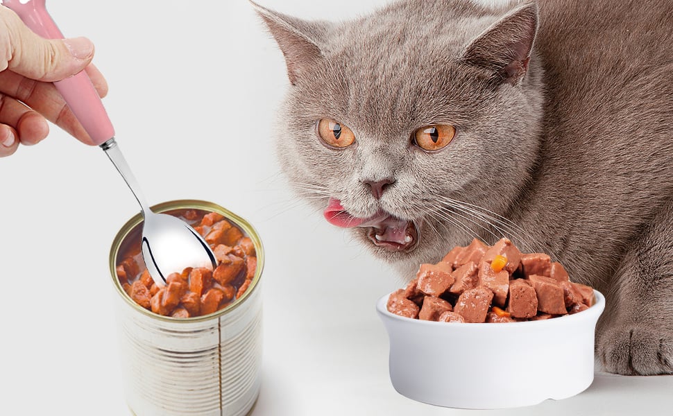 Nên lựa chọn thức ăn cho mèo dạng hạt hay pate? – Bệnh Viện Thú Y Băng Chăm Phạm Sóc Sức Khoẻ Thú Cưng Toàn Điện Uy Tín