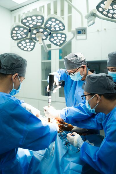 Thoái hóa khớp háng ở chó