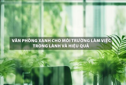 Văn phòng xanh cho môi trường làm việc trong lành và hiệu quả