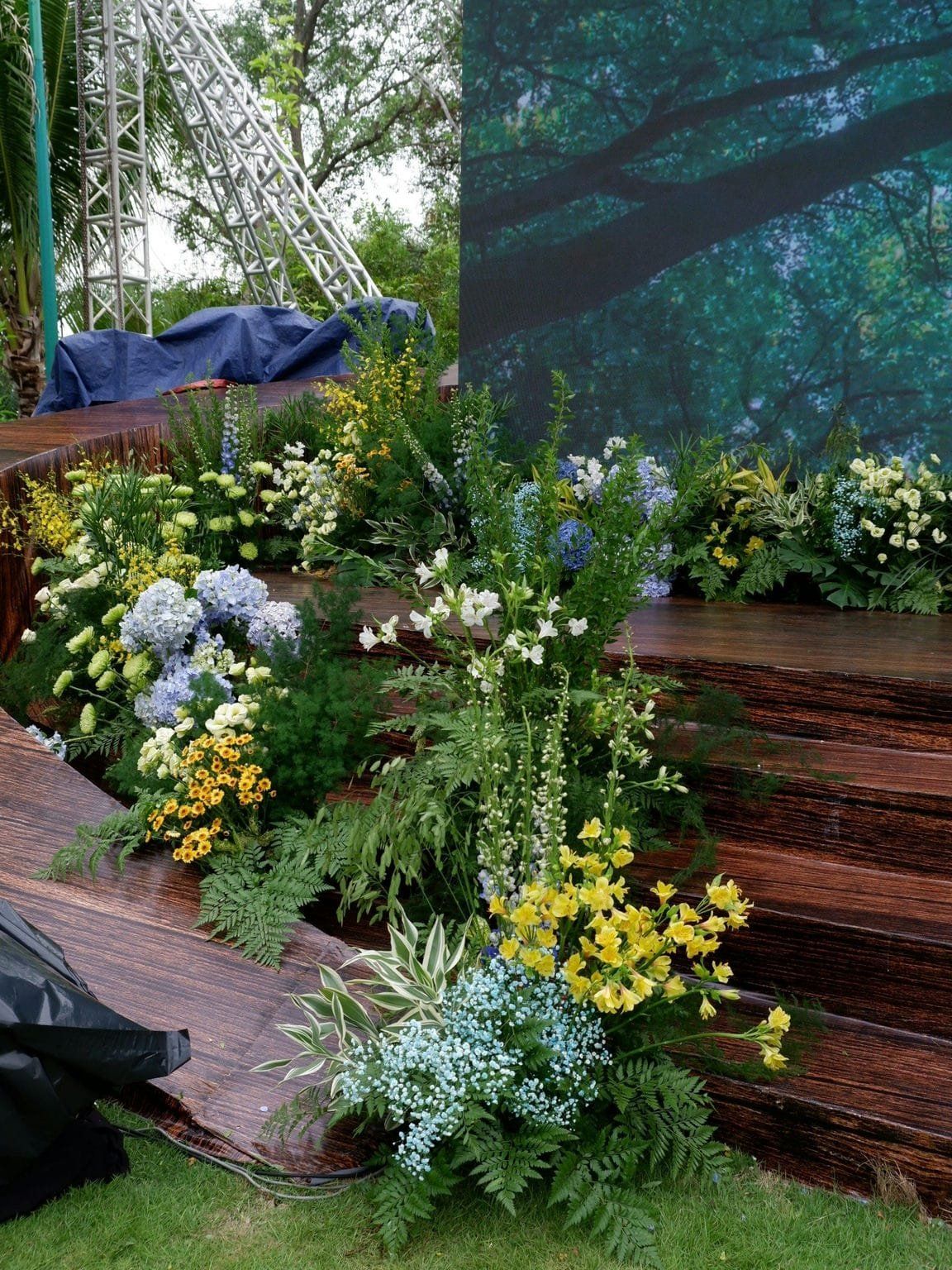 Miền nhiệt đới Blue Forest - Ecovillage