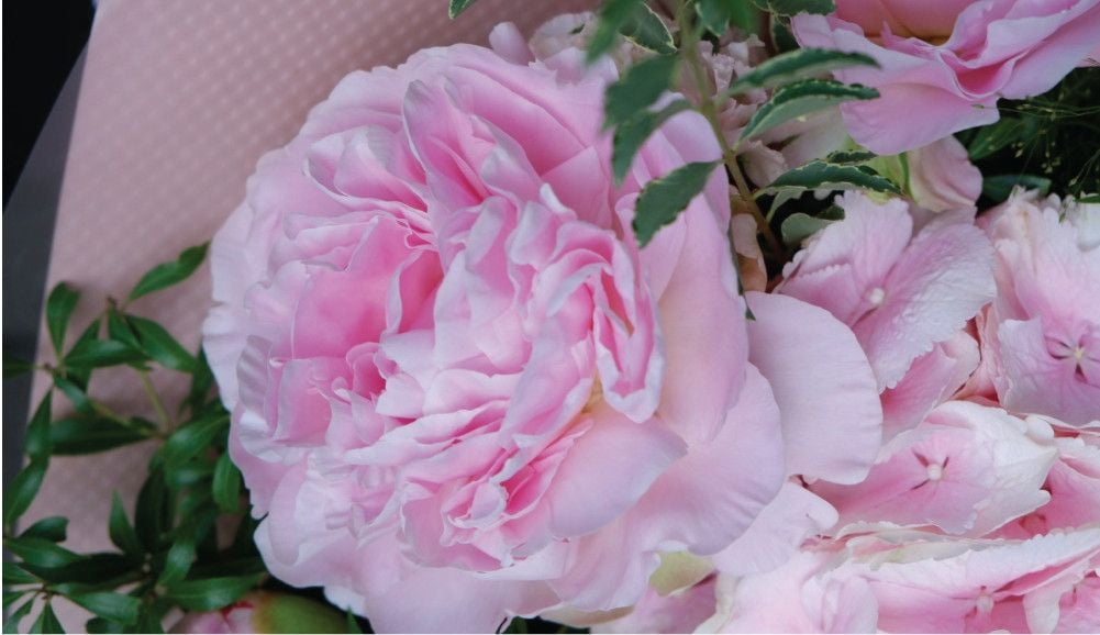 Những loại hoa nhập khẩu được ưa chuộng