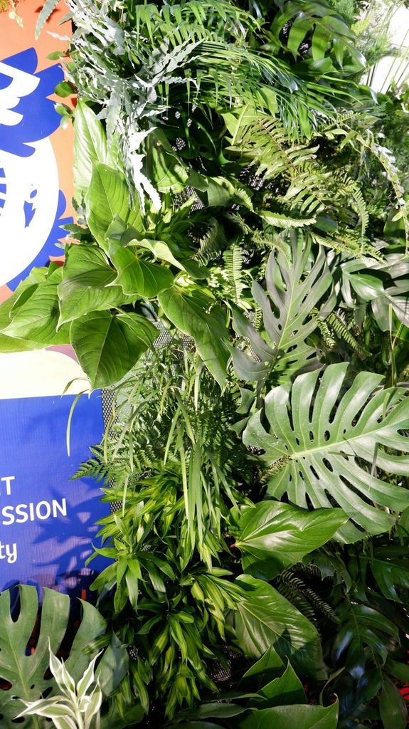 Sự kiện kết nối Hà Lan - Việt Nam.