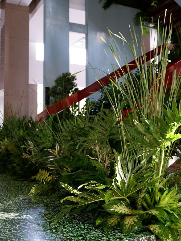 Sự kiện kết nối Hà Lan - Việt Nam.