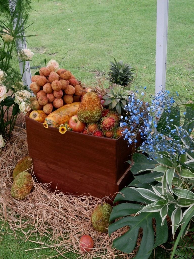 Miền nhiệt đới Blue Forest - Ecovillage