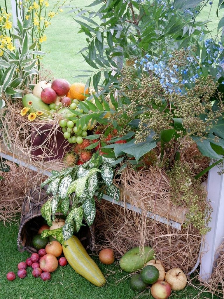 Miền nhiệt đới Blue Forest - Ecovillage